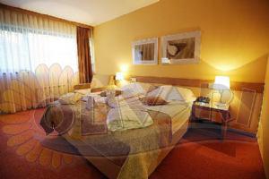 Hotel Breza, Terme Olimia, Slovenija