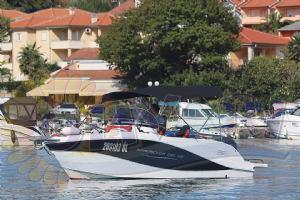 Barracuda 595