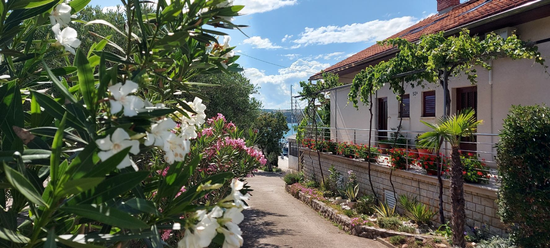 Apartments Mara Jurić island Krk Klimno