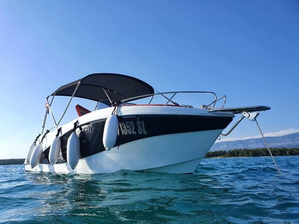 Barracuda 545