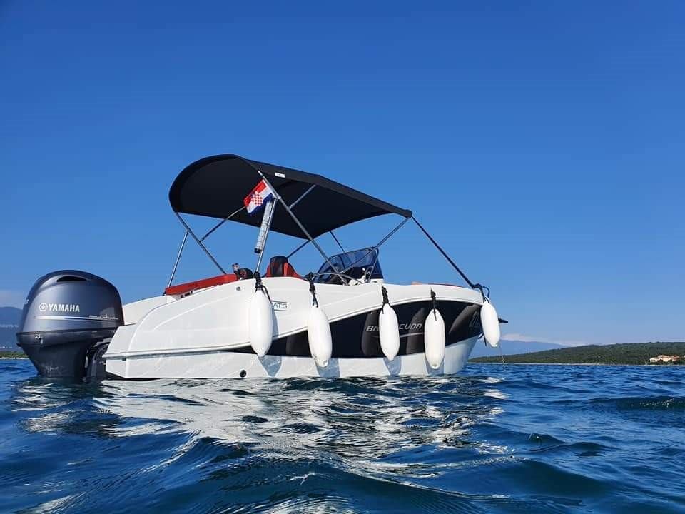 Barracuda 545