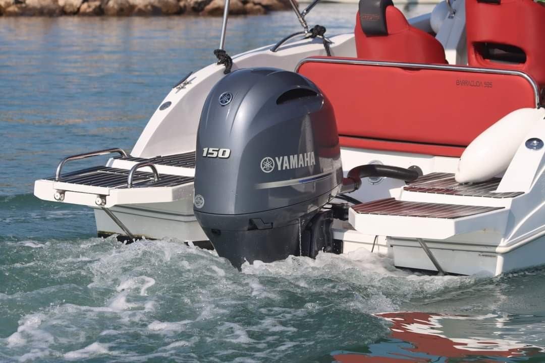 Barracuda 595