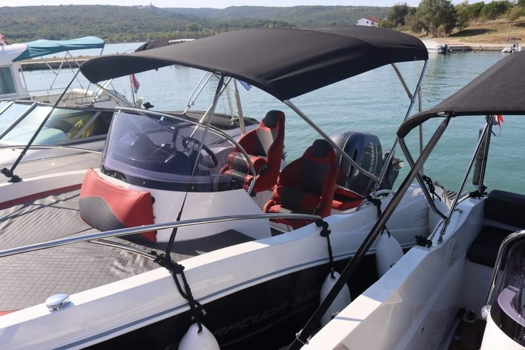 Barracuda 595