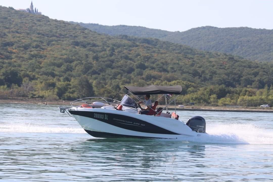Barracuda 595