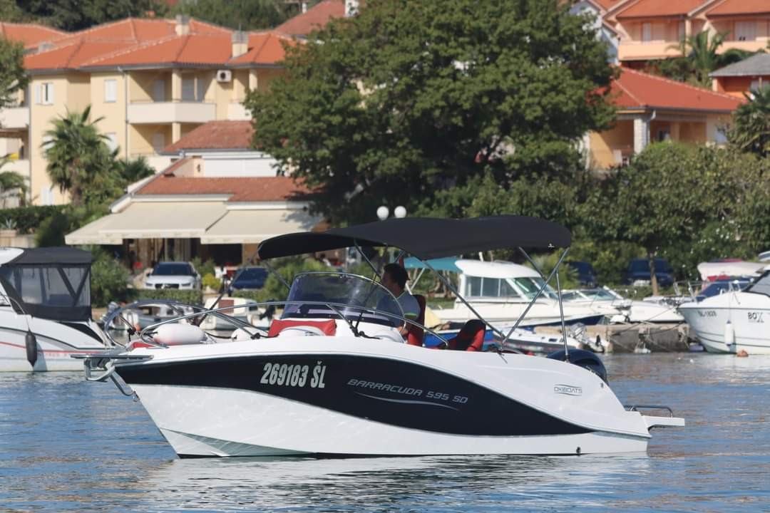 Barracuda 595