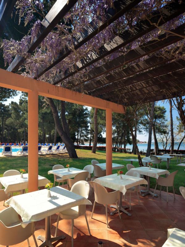 Hotel Aurora  Plava Laguna