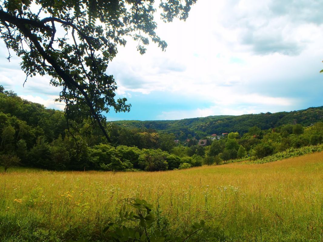 Hiking in Istria