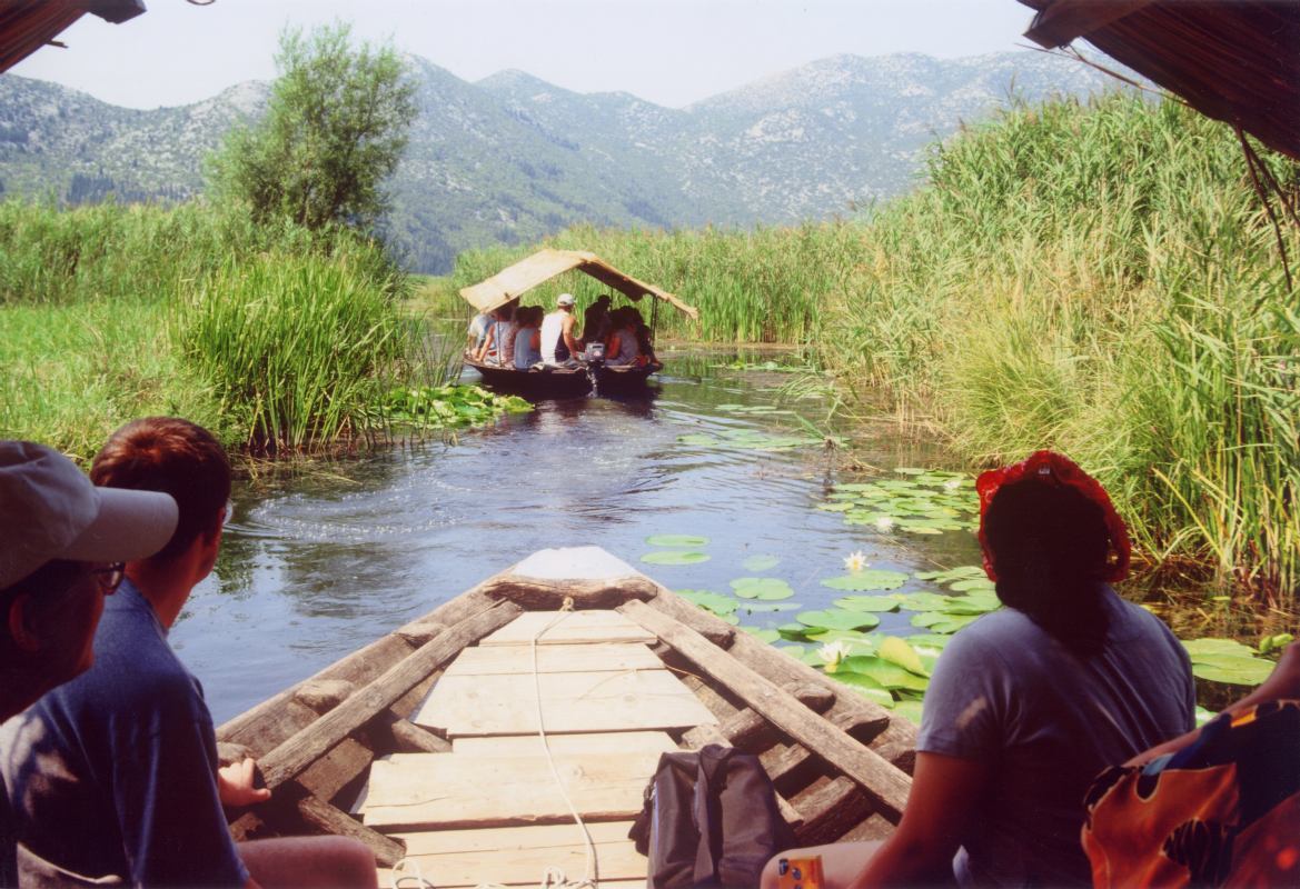 Mandarinenernte im Neretva Delta