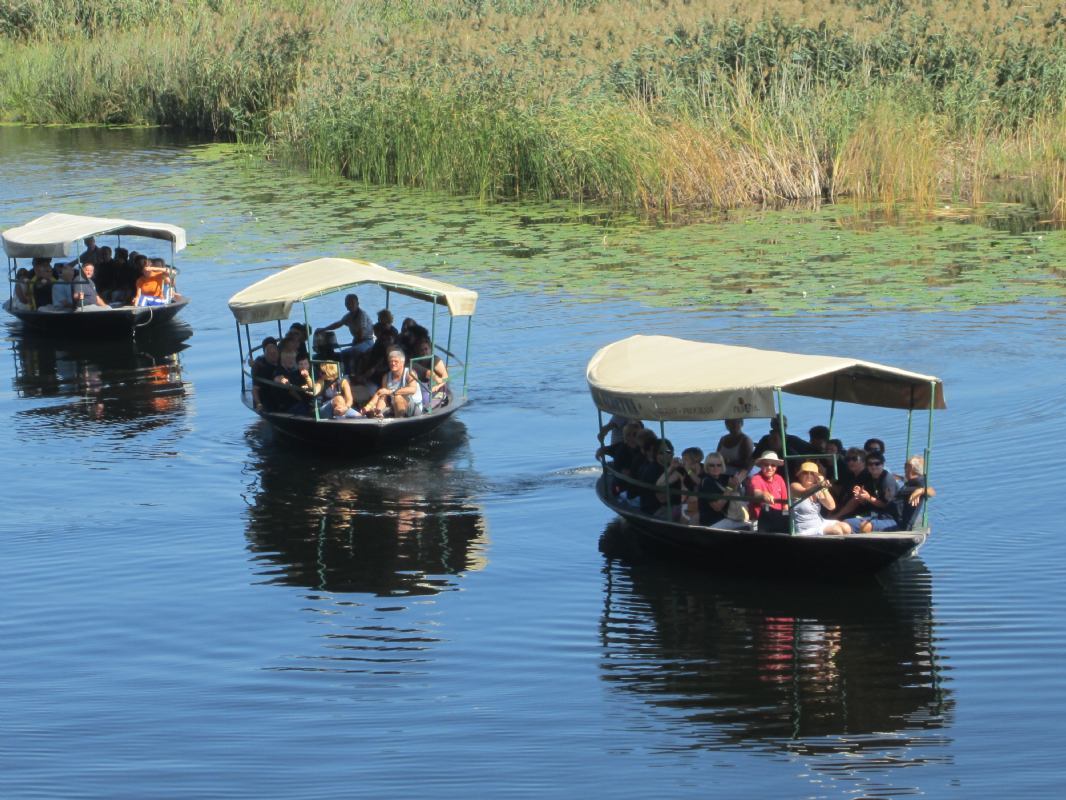 Mandarinenernte im Neretva Delta