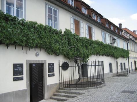 Maribor