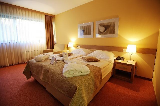 Hotel Breza Terme Olimia Slovenija