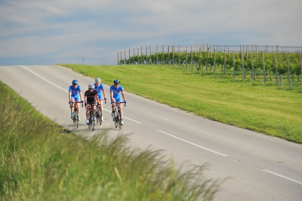 Mit dem Fahrrad im Dreieck Kroatien - Slowenien - Ungarn 