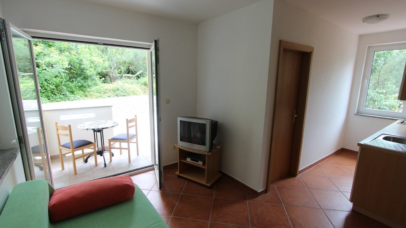 Apartment Rova 1