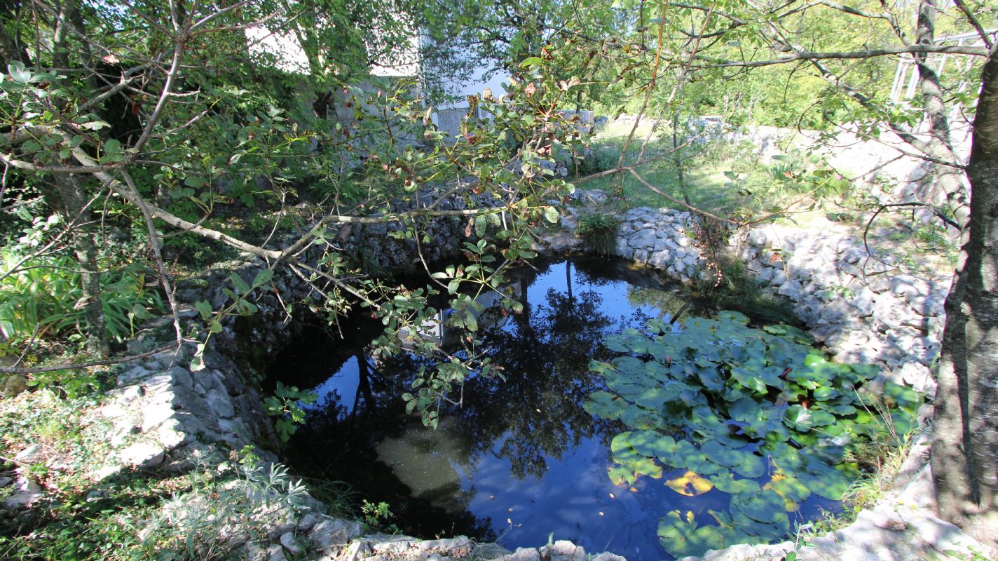 Appartamenti Damir isola di Krk Klanice