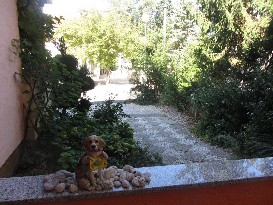Apartmani Irena  Dolores Otok Krk Malinska