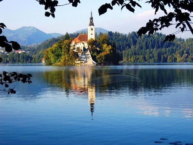 Am Bezaubernden bleder See im Juni