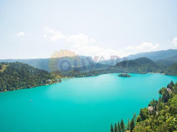 Očaravajuće Bledsko jezero u lipnju