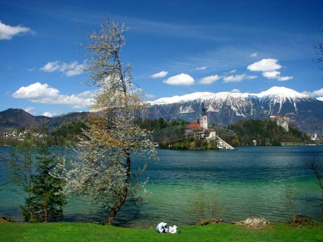 Am Bezaubernden bleder See im Juni