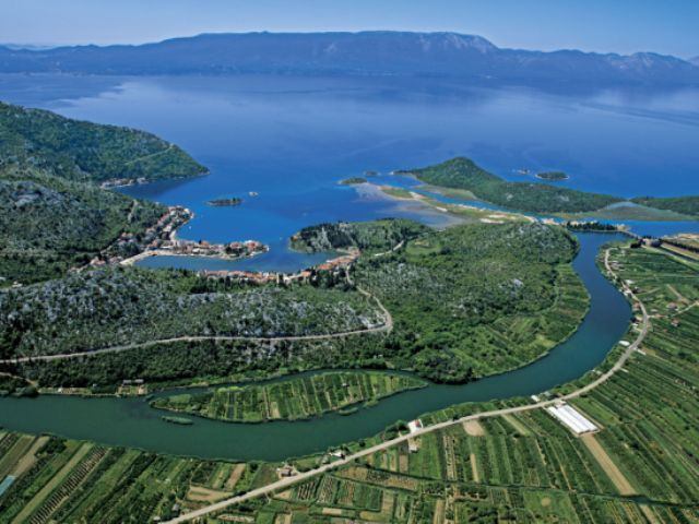 Mandarineblüten im Neretva Delta<br>