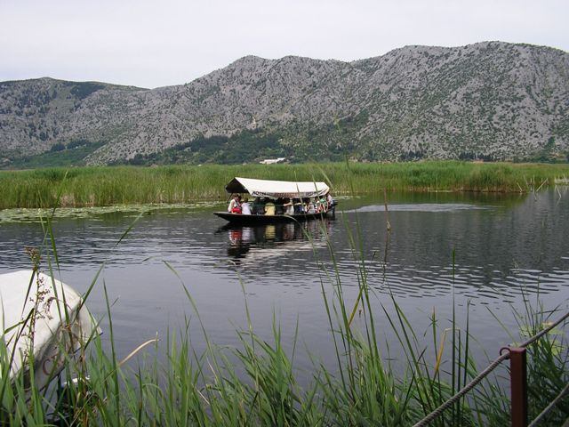 Mandarineblüten im Neretva Delta<br>