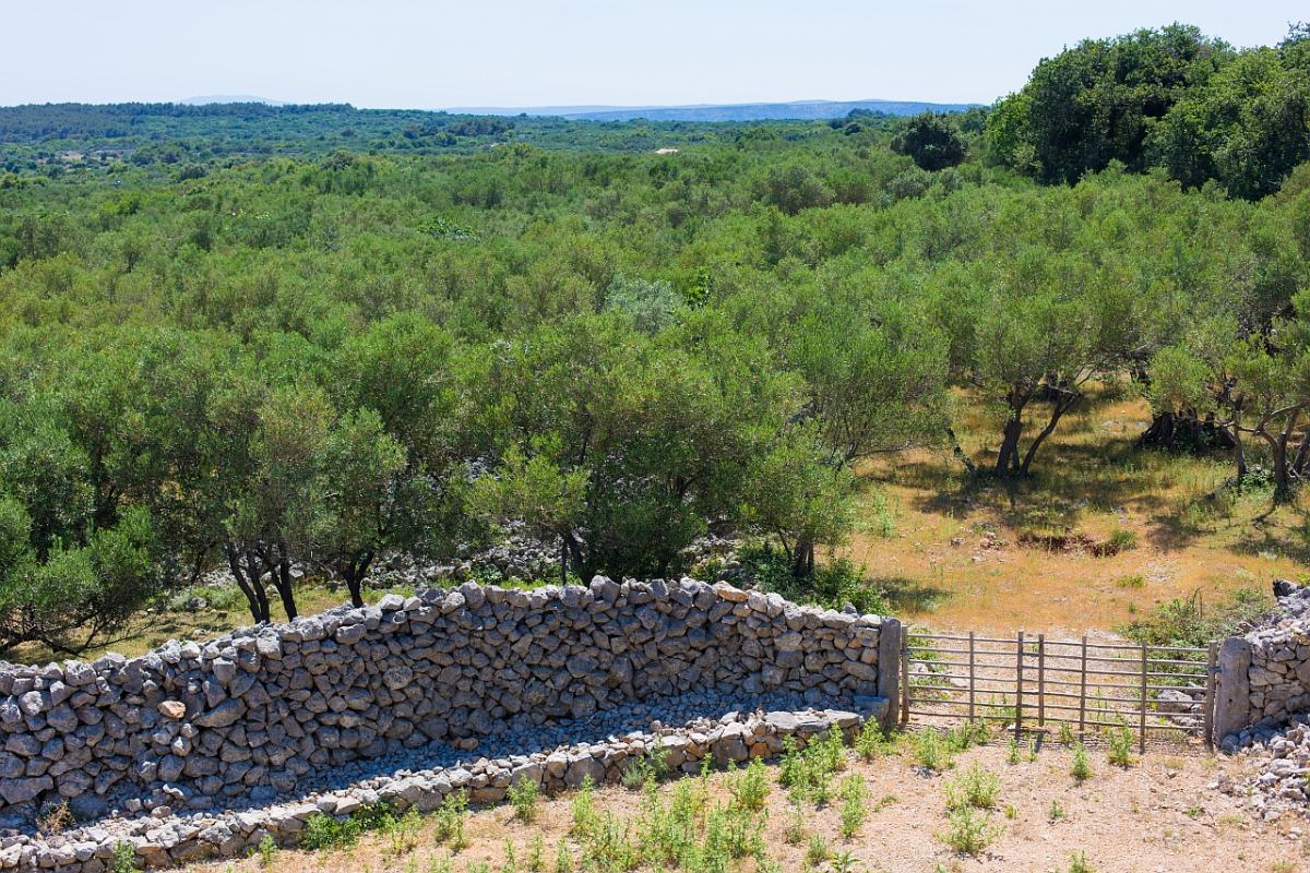 Appartamento Katarina Isola di Krk Kornić