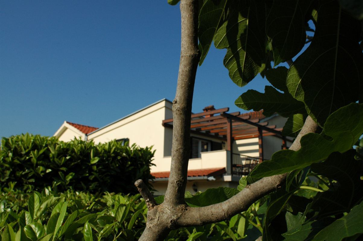 Villa Mare isola di Krk MilovciciMalinska