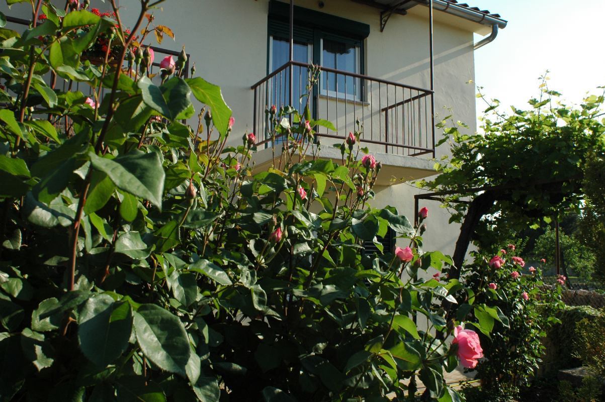 Villa Mare isola di Krk MilovciciMalinska