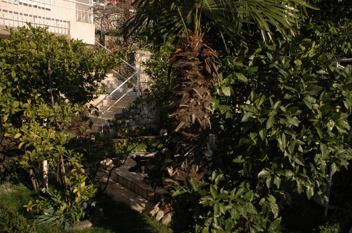 Apartments Lisica Rabac Croatia