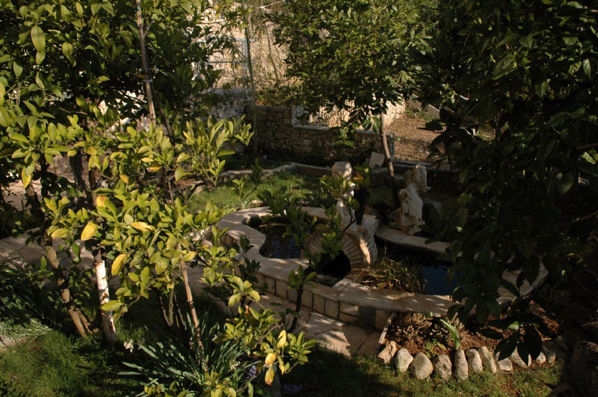 Apartments Lisica Rabac Croatia