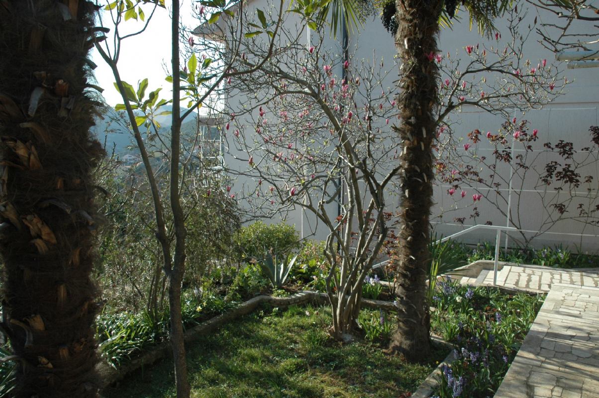 Apartments Lisica Rabac Croatia