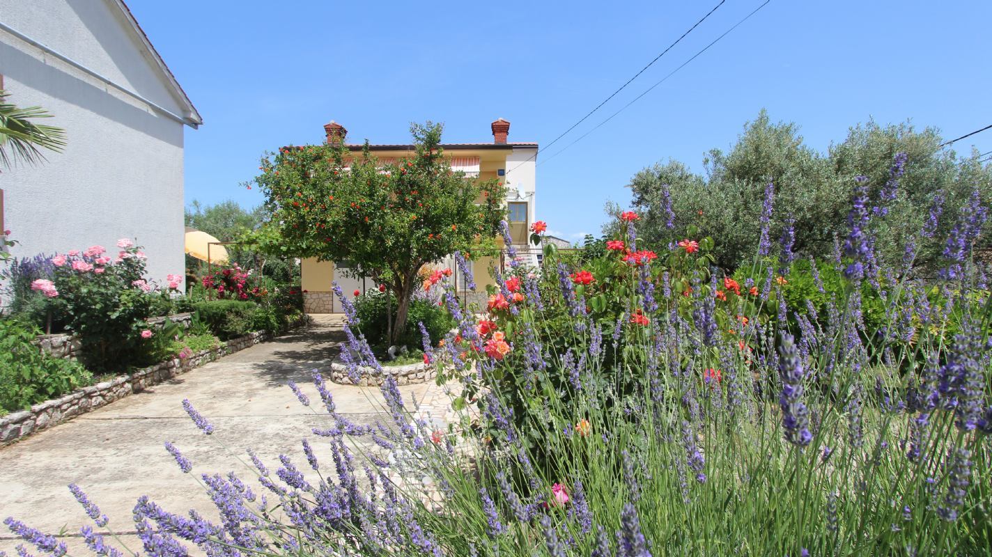 Ferienwohnung Lesica Insel Krk Sužan