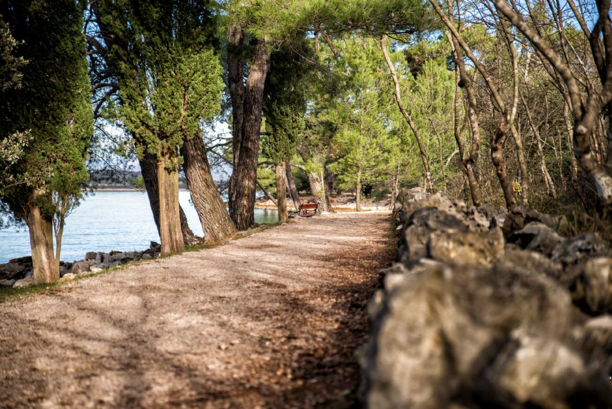 Appartamento Green Gallery isola di Krk Vantačići