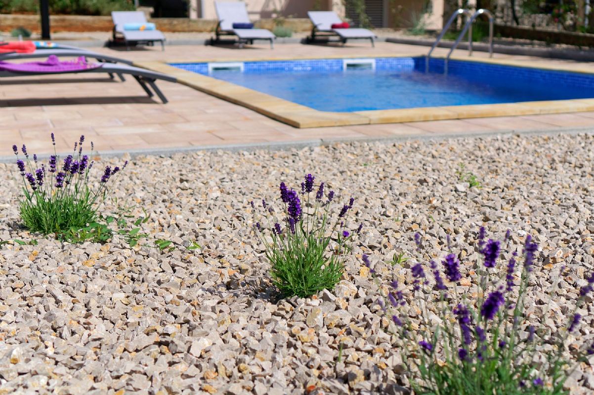 Villa Nerium otok Krk Malinska  Vantačići