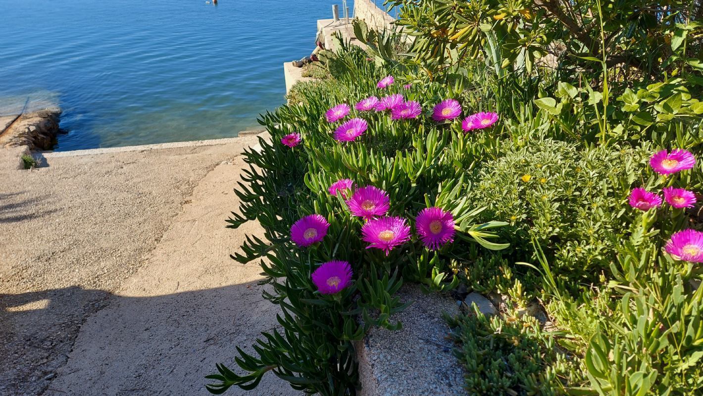 Apartman Mara Jurićotok Krk Klimno